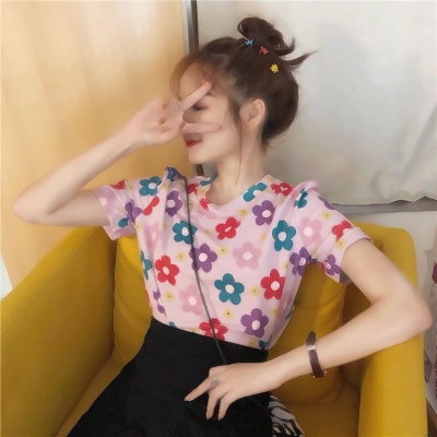 演绎之盾破解版下载